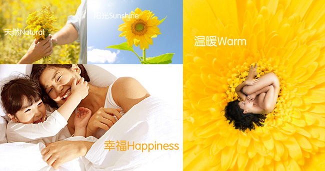 图片12.png