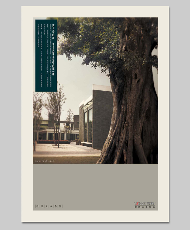 图片41.png